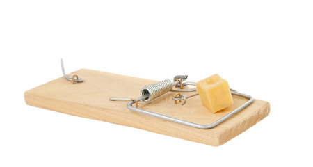 mousetrap with cheese isolated