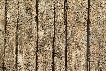 Obraz premium High Resolution Old Natural Wood Textures
