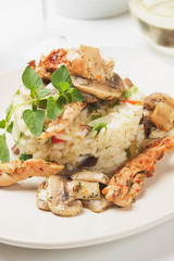 Mushrooms and chicken with vegetable risotto