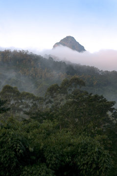 Adam's Peak, Sri Pada, Sri Lanka