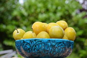 schale mit Mirabellen