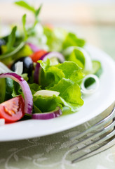 Salad
