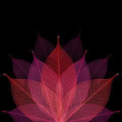 Skeleton leaf abstract background