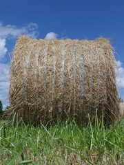 Rouleau de foin