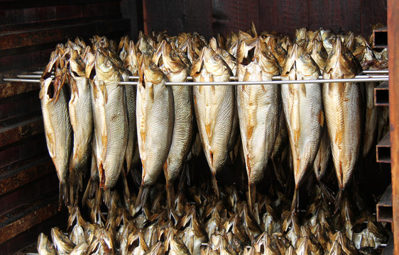 Prepared Kippers Hanging in a Smoking Cabinet.