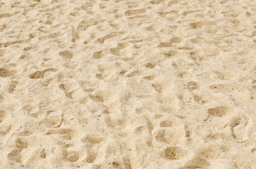 sand on the beach as background