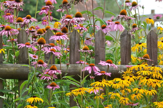 Bauerngarten