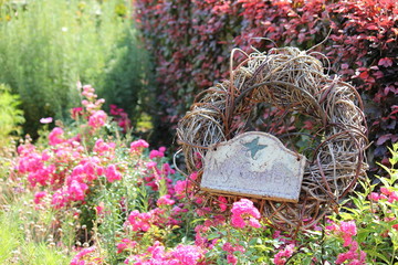 My garden