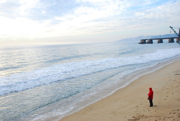 Obraz premium Viña del Mar Beach