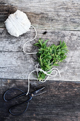 Stevia Bundle