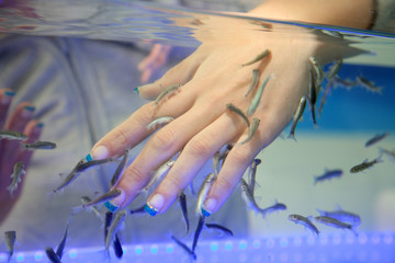 Fototapeta premium fish spa