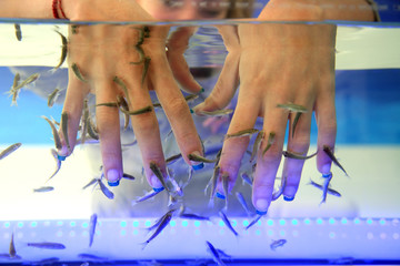 fish spa