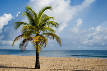 Obraz na płótnie Canvas Beach resort in San Juan (Puerto Rico)
