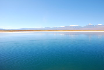 Laguna Sejar, Atacma Desert, People Exploring 