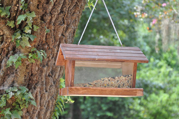 Bird Feeder