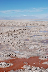 Atacama Salt Flats © evgeniyab