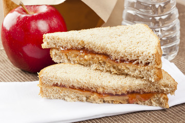 Peanut Butter and Jelly Sack Lunch