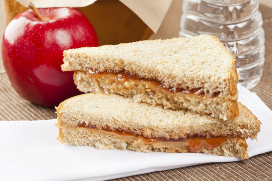 Peanut Butter And Jelly Sack Lunch