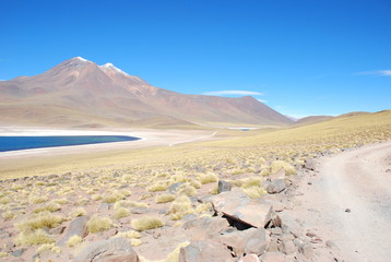 Fototapeta premium Laguanas, Atacama Desert, Chile