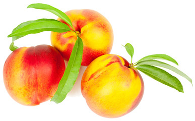 Nectarine fruit