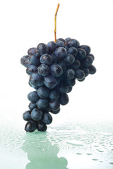 Bunch of grapes with water drops