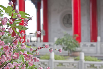 Fototapeta na wymiar decoration chinese style