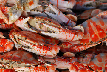 undressed roasted crabs with rubber on the claws