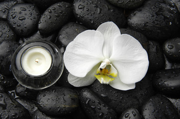 Macro of white flower and candle on stones background