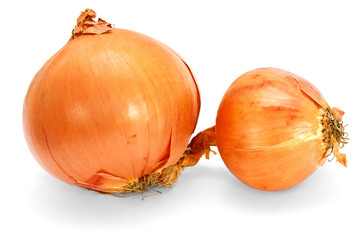 Ripe fresh onions isolated on white background