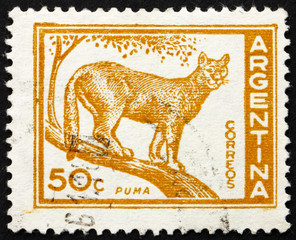 Naklejka premium Postage stamp Argentina 1960 Puma, Cougar