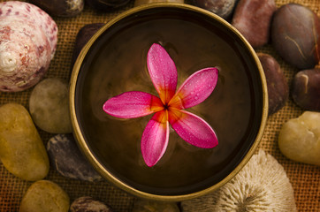 frangipani spa concept photo
