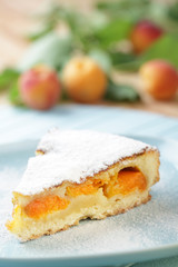 Apricot pie