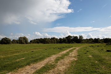 Summer landscape with green grass, road and clouds