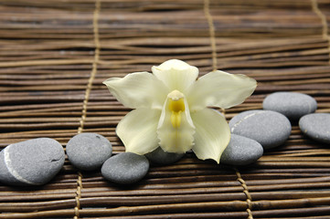 Fototapeta na wymiar Biała orchidea z kamieni na maty bambusowe słomy kij