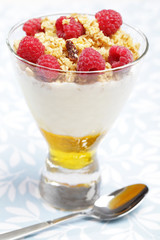 Breakfast with honey, yogurt, raspberry, and crunches