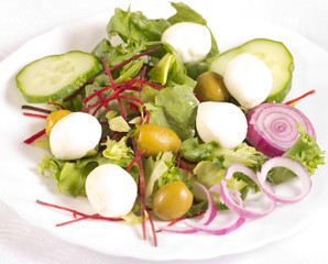 Mozzarella Salad