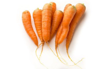 Carrots on the white background