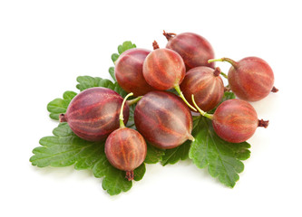 Gooseberry with leaf