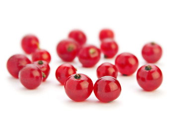 Red currant berry