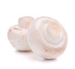 Champignon mushroom