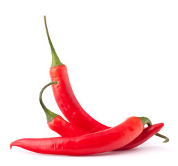 Hot red chili or chilli pepper still life