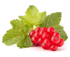 Red currants and green leaves still life