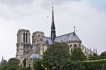 Fototapeta na wymiar Cathedral Notre Dame de Paris - famous Gothic cathedral, France
