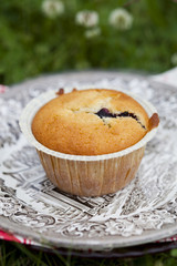 Blueberry muffin