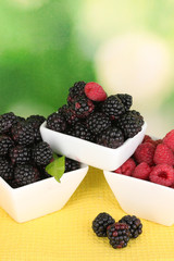 Ripe raspberries and brambles