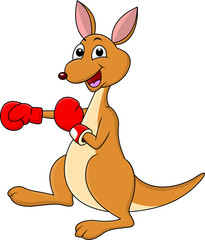Funny boxing kangaroo cartoon
