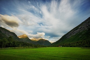 Beautiful meadow in norwegian mountains