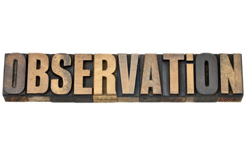 observation word in wood type