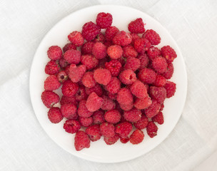 Raspberries on a white plate