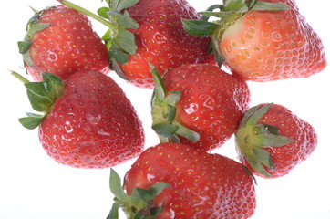 Erdbeeren vereint
